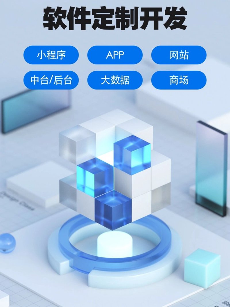 软件系统定制：企业成长的助推器