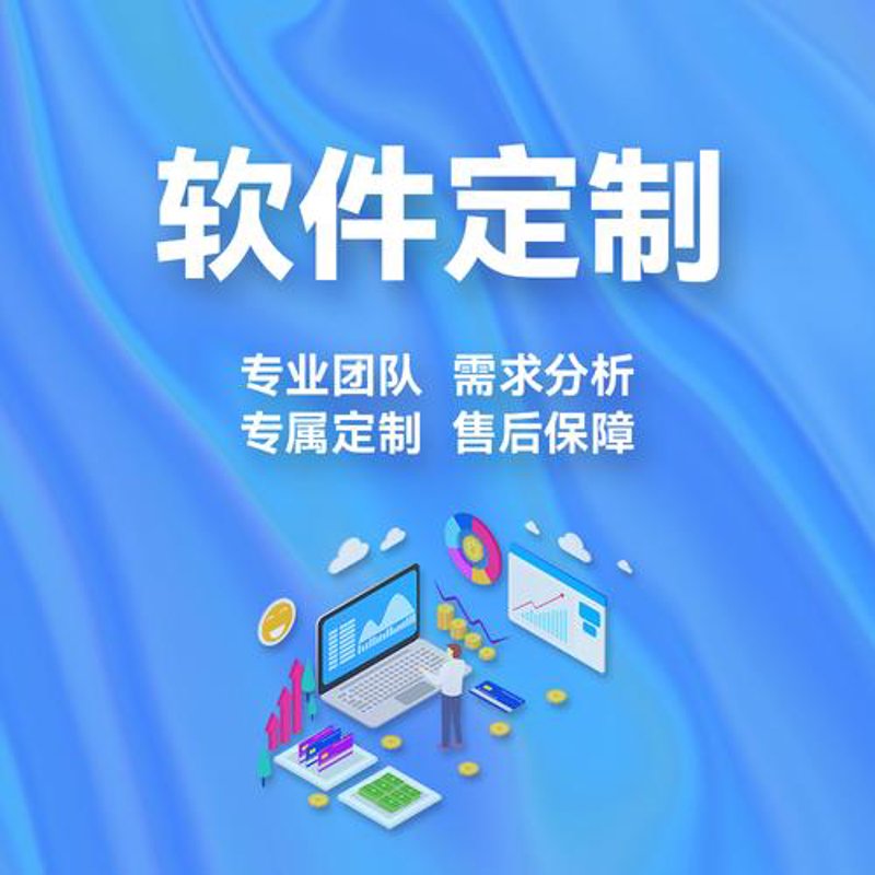 软件系统定制：科技改变企业运作